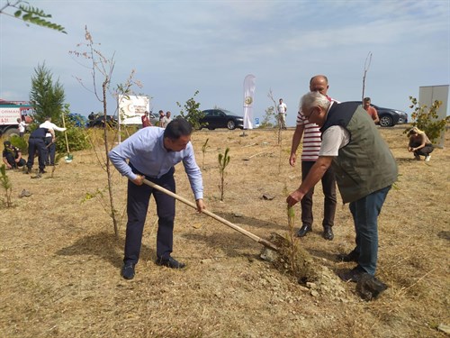 HALK SAĞLIĞI HAFTASI FİDAN DİKİMİ